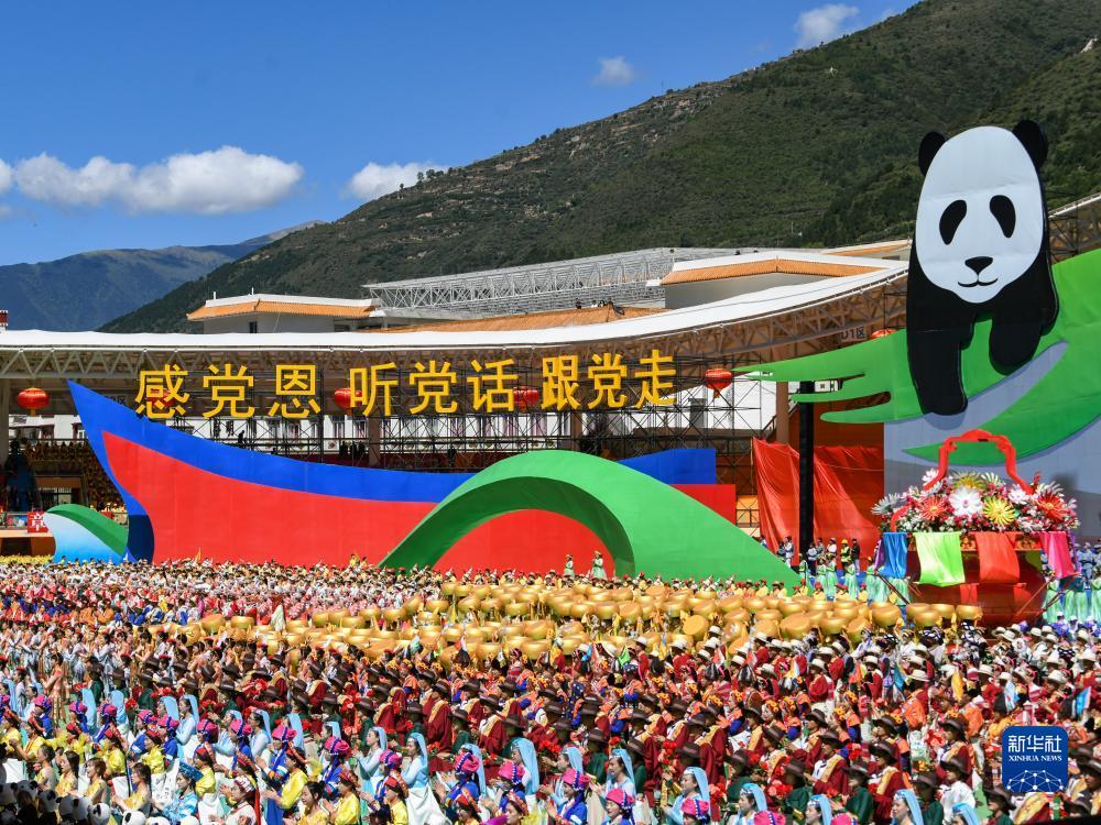 问鼎软件下载